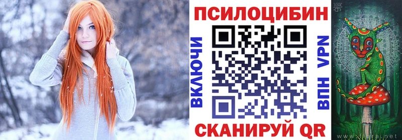 как найти наркотики  Щёкино  Псилоцибиновые грибы Psilocybe 